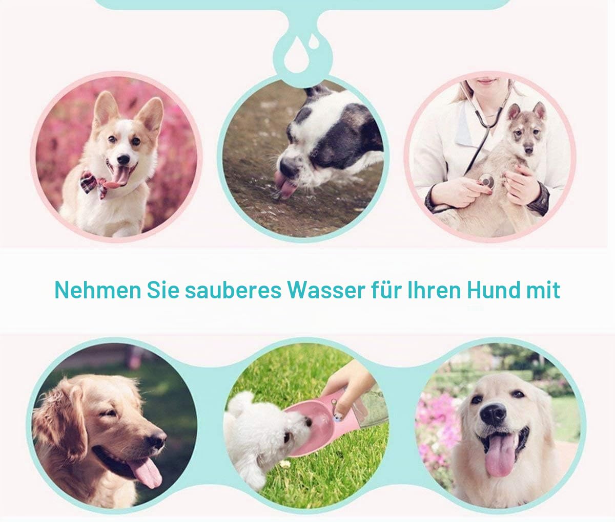 COTOP Trinkflasche Hunde für Unterwegs, 350ml, Tragbare, Weiß