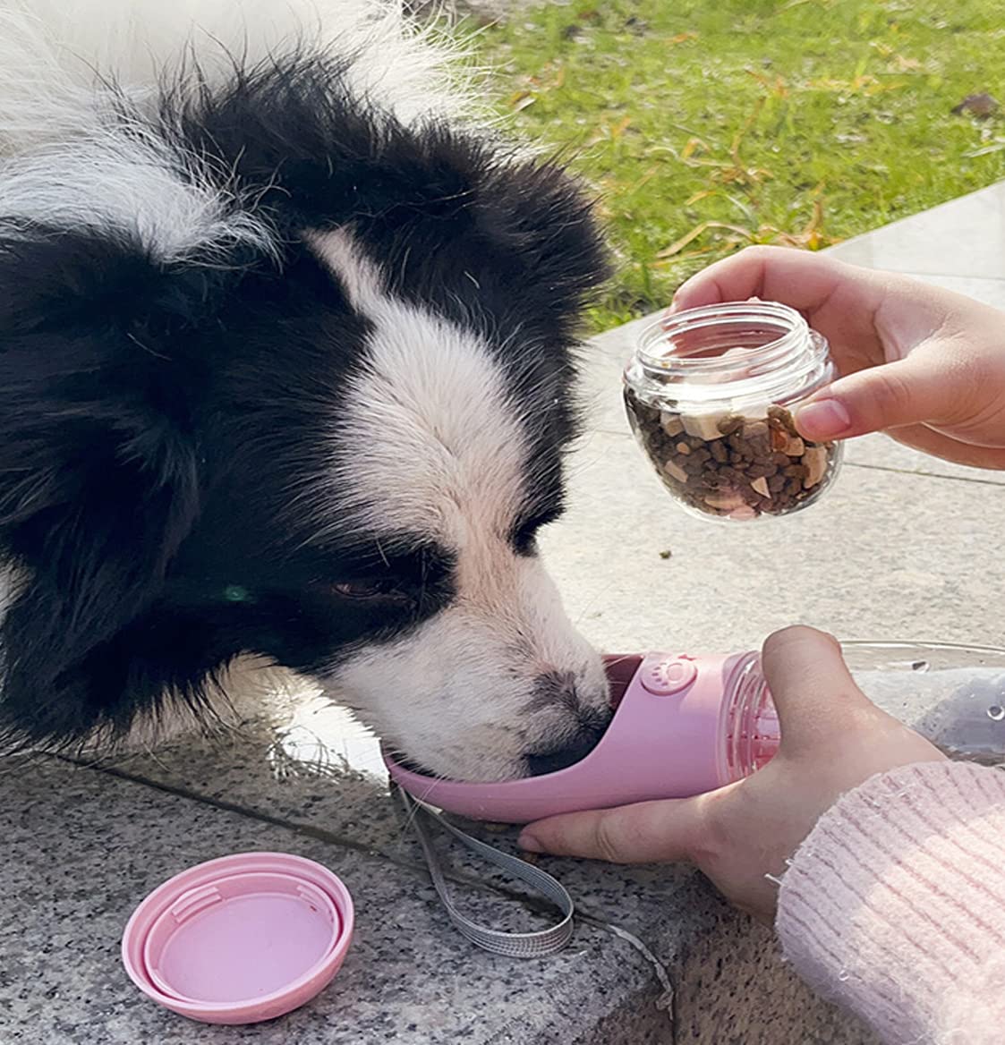 COTOP Trinkflasche Hunde für Unterwegs, 350ml, Tragbare, Weiß